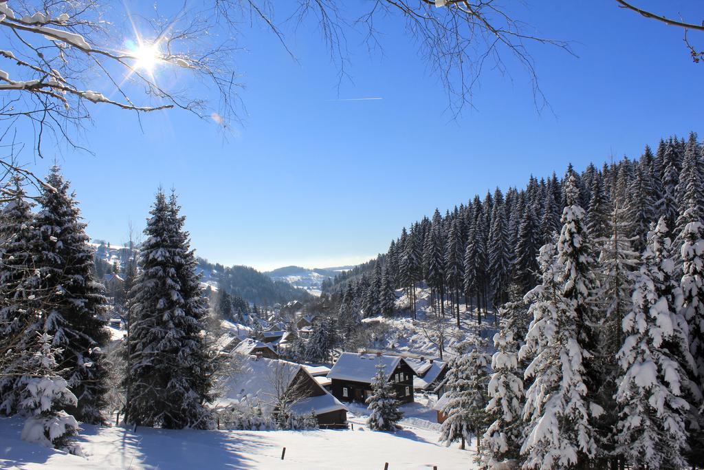 Ferienwohnung Fw. Steindöbra Anno Dazumal Klingenthal Zimmer foto